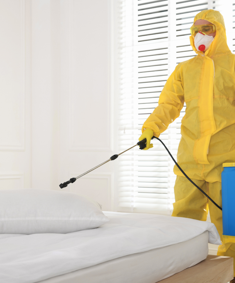 Professional Pest Control Team in Kangarilla
